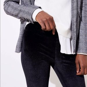 Loft Petite Black Velvet Leggings SP